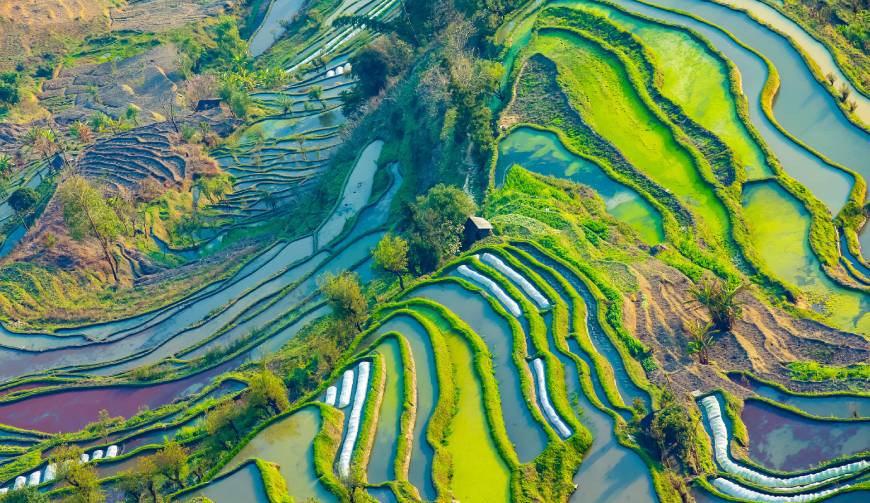 宝妈必备神器：阳朔县产品视频拍摄轻松育儿好帮手