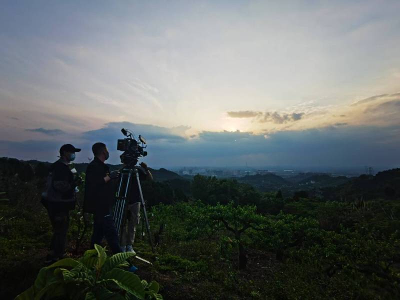 聚焦阳朔县产品宣传视频拍摄公司，用专业实力铸就品牌传播传奇