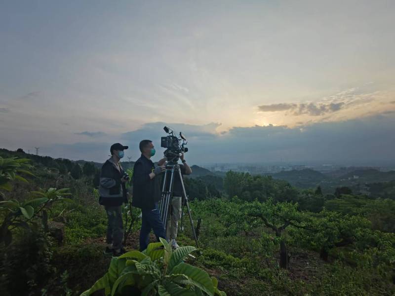 创意破圈！阳朔县电商产品宣传视频用故事化叙事引爆流量